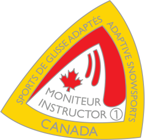 cads level 1 certification pin